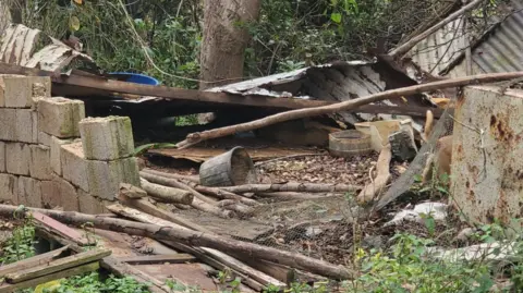 Family Handout Debris is strewn across a garden in what used to be a home.