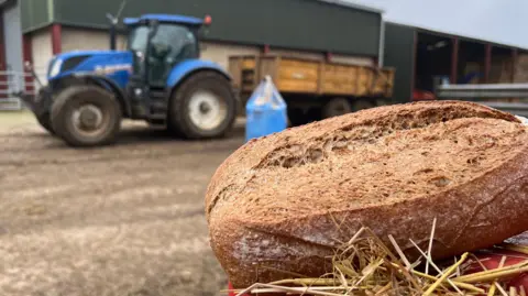 A picture of a loaf of rustic-style bread on some hay, in front of a blue tractor and farm buildings.