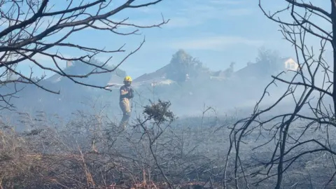 A firefighter in a burnt out heath area