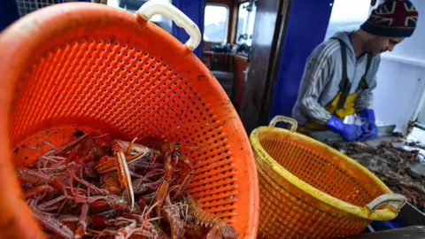 Getty Images shellfish