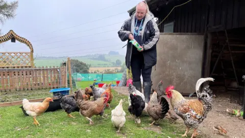 A woman in her wellies feeding her chickens in a rural landscape