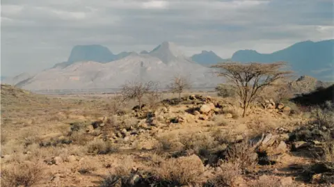 Hugh Cran A landscape photograph of the Rift Valley showing mountains in the background