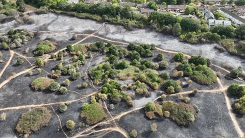 Black and grey areas of parkland with some surviving trees and bushes