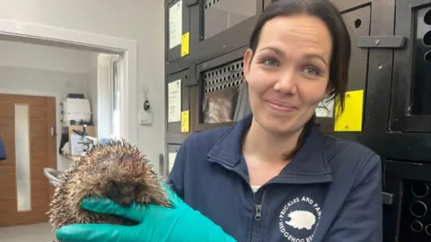 A woman holding an injured hedgehog. The woman is smiling at the camera is wearing a Pricks and Paws Hedgehog Rescue top. She is wearing teal-coloured gloves.