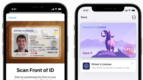 Apple Examples of driver's licenses in the Apple Wallet app