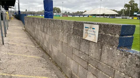 A concrete wall at a pitch perimeter. The bricks are thick and you can see the green pitch behind.