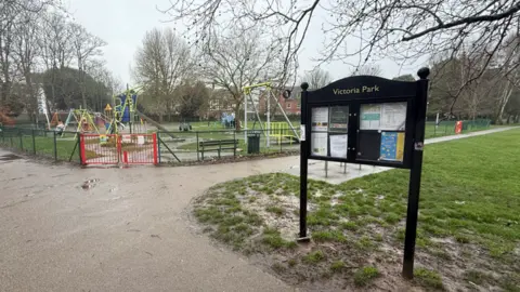 Swings, grassland and trees in a park