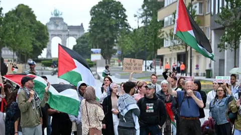 Pro-Palestinian protesters