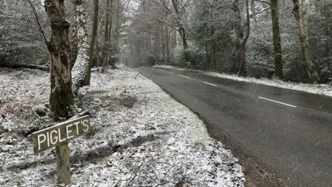 A road with a snowy forest either side of it. There is a wooden sign in the bottom left which says "PIGLET'S".