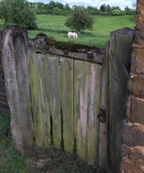 Cheryl Huntbach Mollington gate