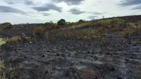 Tees Valley Wildlife Trust An image of the aftermath of a fire in a meadow. The ground has been blackened and few blades of grass remain.