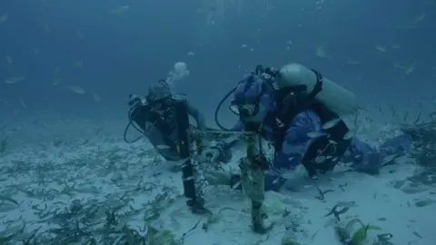 Oceanic films Divers fitting underwater recording device to the seabed close to the Seychelles