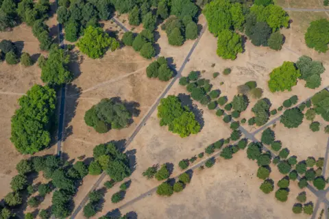 jasonhawkes.com Green trees line scorched grass and concrete paths