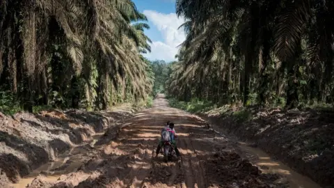 Nopri Ismi Villagers had been promised infrastructure and development