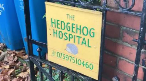 A yellow sign with green letter spelling 'Hedgehog Hospital' on a black gate sat against a red brick wall with leaves on the ground. 