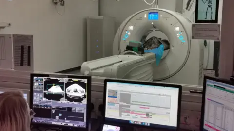 Sea Life Weymouth One green sea turtle is laying on a blue paper, on top of a medical shelf inside a CT scanner in the foreground we can see three computers the one on the left shows the CT scans.