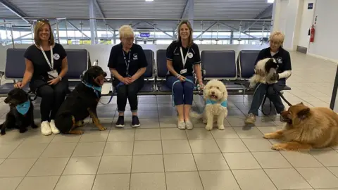 Essex Therapy Dogs Volunteers from Essex Therapy Dogs