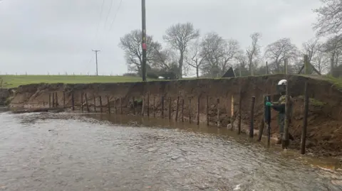 A man in a protective visored helmet and waders is pounding wooden posts into the riverbed near a rapidly eroding riverbank. He has installed over 30 posts along the bank. Water is lapping round boots as he works. A row of trees can be seen over the top of the bank.