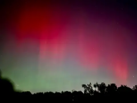 CaineWolf / BBC Weather Watchers A sheet of red in the sky merges into green below, with several stars surrounding the northern lights and the tops of trees cast in silhouette