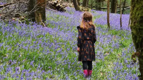 A girl stands in the middle of a woodland clearing filled with purple bluebells, surrounded by trees with thin trunks and spring leaves in Combwell Wood.