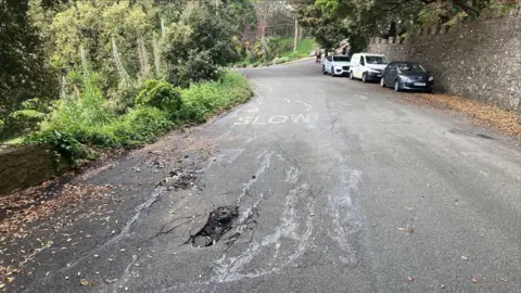 A road with a hole and fractures in it. There are three cars parked on the right-hand side and echium plants and other foliage on the left.