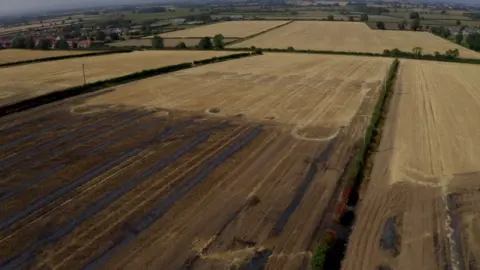 BBC/Mark Graham Light brown crop fields with brown and black scarring from fire.