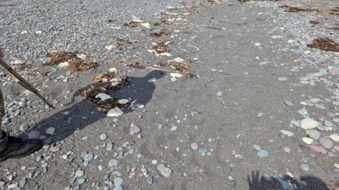 BBC/Stan Tobin White blobs on beach