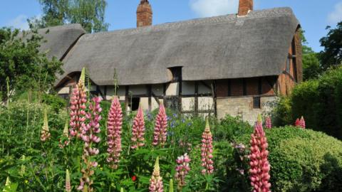 View of Anne Hathaway's cottage from the garden, with pink flowers shooting up from the ground
