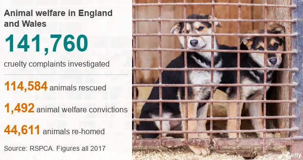 animal welfare in 2017: 141, 760 cruelty complaints investigated, 114,584 animals rescued, 1492 animal welfare convictions, 44,611 animals rehomed