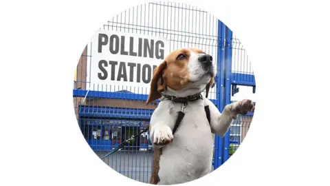 Getty Images A dog outside a polling station