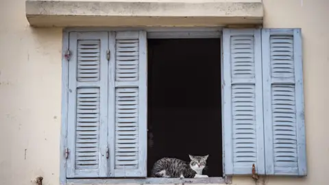 AFP A cat looking out of a shuttered window in Casablanca, Morocco - Wednesday 8 April 2020