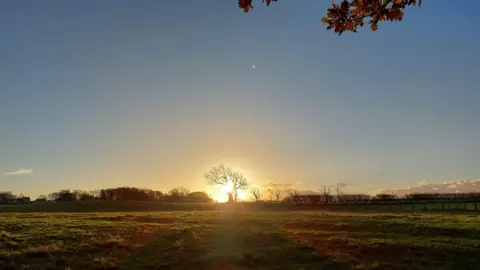 BBC Weather Watchers/Katz A large field with the sun low down to the ground in the centre of the picture, behind a leafless tree. The grass has a yellow glow because of the low light. Trees can be seen in the background and are in shadow. The sky is mostly clear and looks to be getting darker. There seems to be a bright star above the tree to the right.