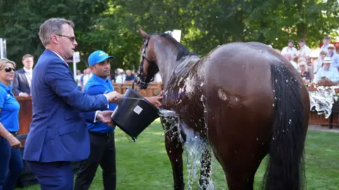 A man wearing a navy suit pours a bucket of water over a horse with dark brown hair. It is standing in the winner's enclosure at Newmarket.