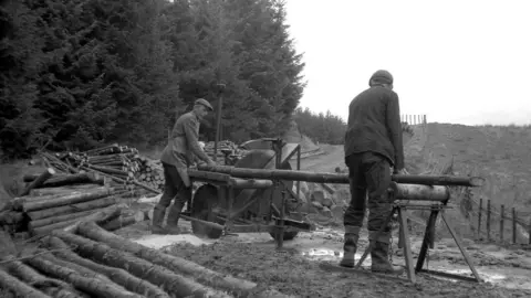 Forestry England A black-and-white image of two men with a long pole of timber resting on two metal supports sawing the wood into sections.