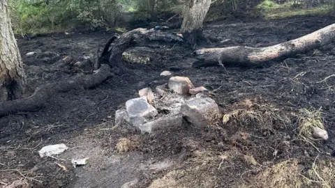 Forestry England A pile of stones surrounded by blackened earth and scorched tree trunks.