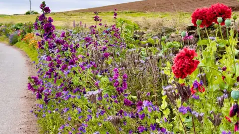 Jim Smith Flowers