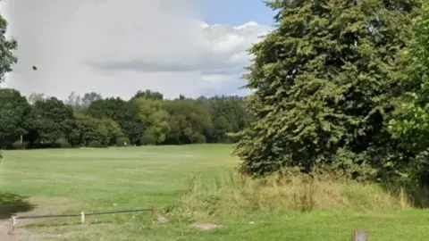 Google A grassy field with trees on the right hand side and trees in the distance