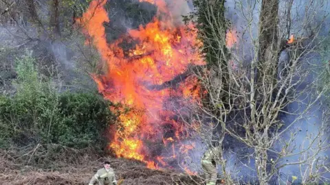 Eddie Mitchell Large flames in trees. A firefighter can be seen at the bottom of the image