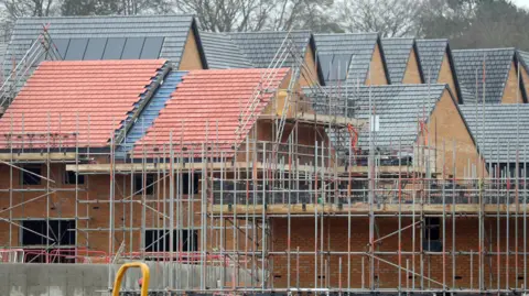 Housing development