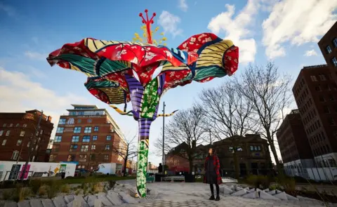 David Lindsay Hibiscus Rising