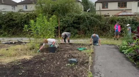Three people are tending to a large planting area as two other people stand by. Dead plants are being removed from the ground.