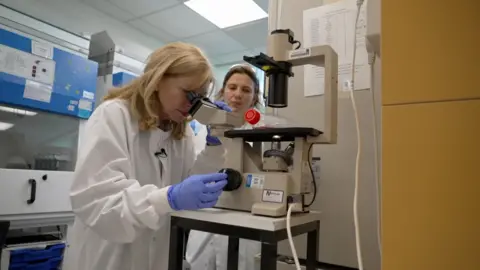 A white woman, with fair shoulder-length hair looks into a microscope in a laboratory. She is wearing a white lab coat and blue latex gloves. Her colleague observes in the background.