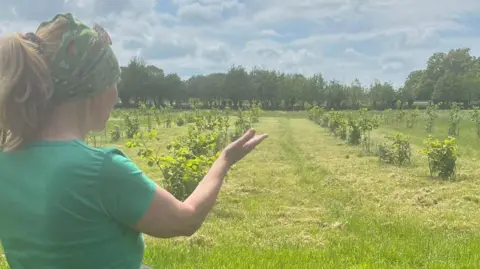 SWALE BOROUGH COUNCIL A woman wearing a headscarf and green t-shirt stands in front of a field planted with saplings.