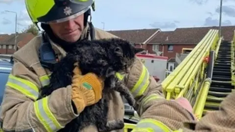 Image of a firefighter holding a ragged small cat in his arms