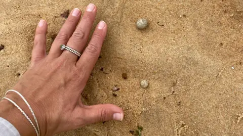 Northern Beaches Council Two small grey balls in sand with a hand for size reference