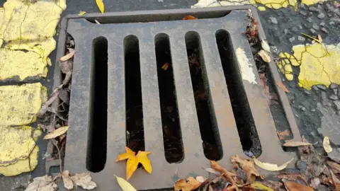 Cardiff council Drain cover