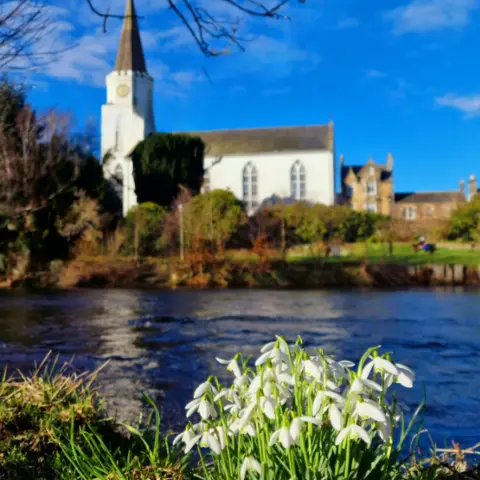 Corrie Snowdrops some snowdrops in the foreground with a river behind them and a white church on the opposite riverbank