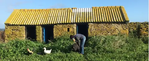 Mobile phone on the island