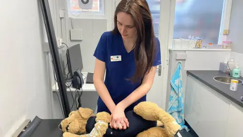 A vet demonstrating CPR on a dog by using a plush toy.