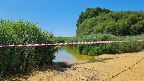 Frensham Common in Surrey